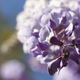 Image for article titled Shooting Challenge: Spring